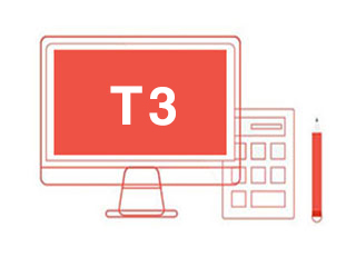 T3-财务通普及版